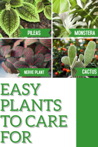 Plant Botanical Blogger Pinterest Ad template